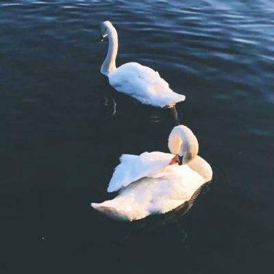 上下分的捕鱼app手机app下载