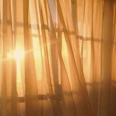 大发彩票appapp下载