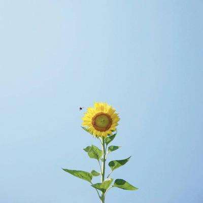 1788网投下载手机版