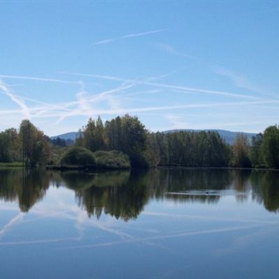 娱乐宝官网手机app下载