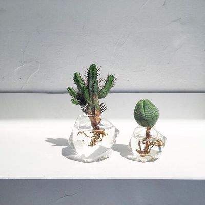 澳门·新葡萄新京威尼斯