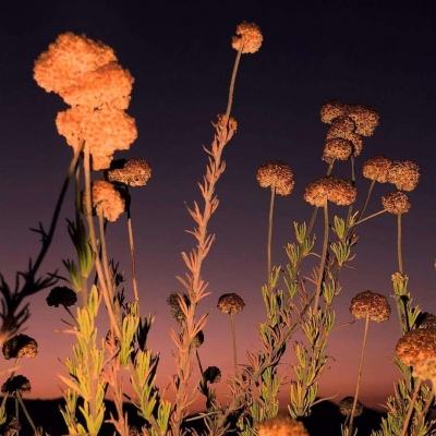 ag入口官网登录