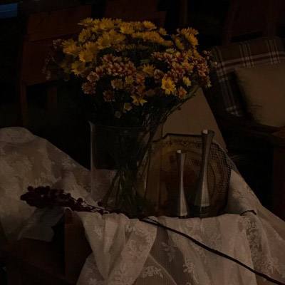 乐鱼app下载app下载